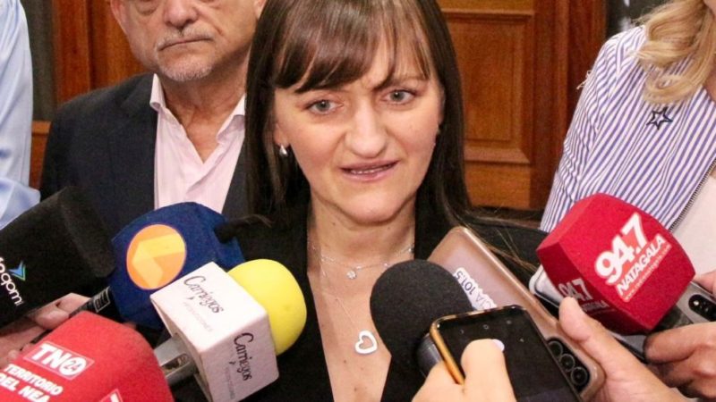 Silvana Schneider, se refirió a la reunión que mantuvo junto al presidente Milei: “Fue una reunión sumamente positiva”