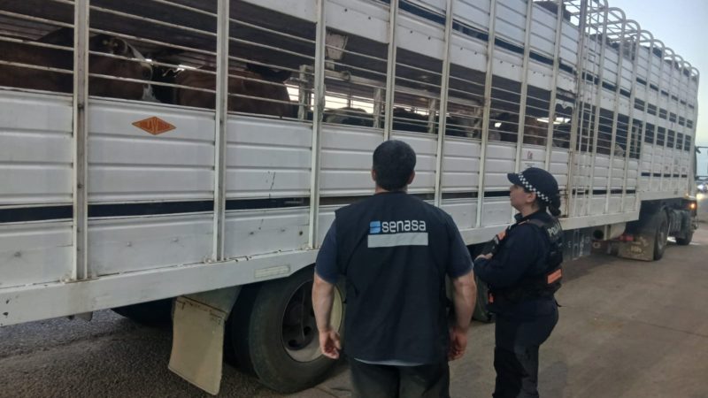 Caminera secuestró armas de fuego, armas Blancas y rescató aves silvestres