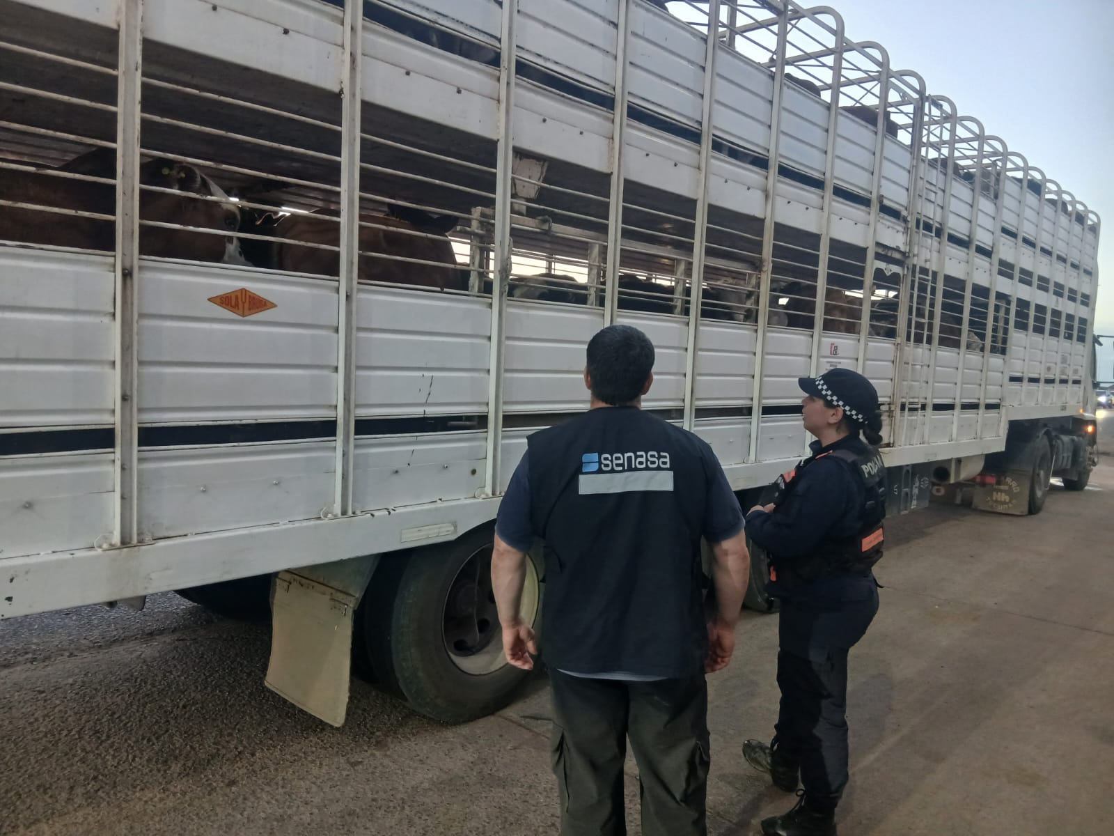 Caminera secuestró armas de fuego, armas Blancas y rescató aves silvestres