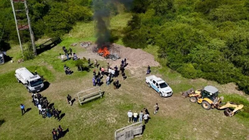 Siete policiales son detenidos por irregularidades en la quema de drogas  en Colonia Benítez