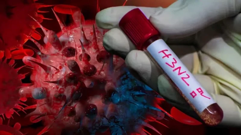 Alerta por el aumento de casos de gripe H3N2 en Argentina: síntomas, prevención y cuándo consultar