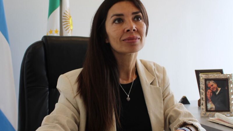 AUDIENCIA PÚBLICA POR TARIFAS DE SECHEEP