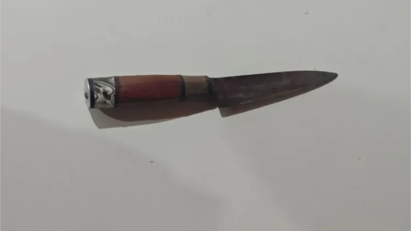 Violenta riña en Pampa Almirón: un menor de edad apuñaló a un joven de 22 años