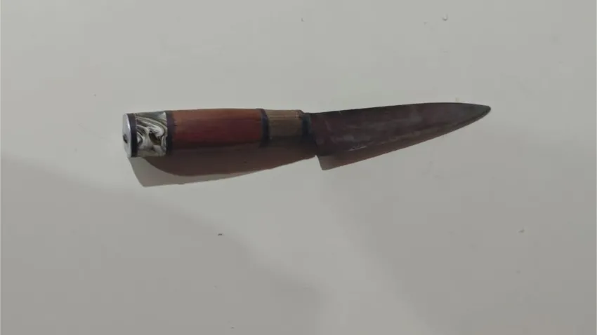 Violenta riña en Pampa Almirón: un menor de edad apuñaló a un joven de 22 años