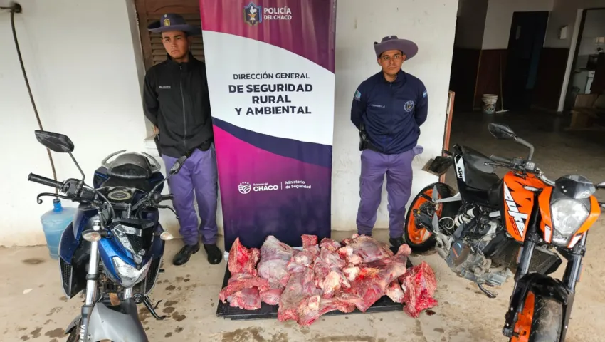 Horror en Fontana: secuestran 100 kilos de carne de caballo tras una faena clandestina