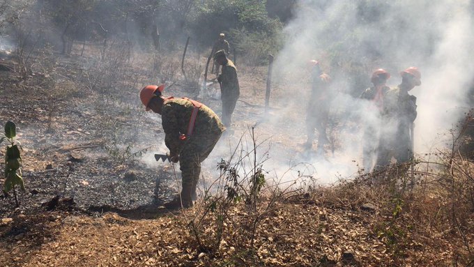 “Chaco en alerta por repetición de incendios: autoridades señalan causas humanas e irresponsabilidad ciudadana”