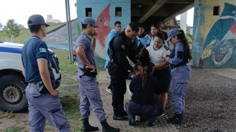 Evitaron un intento de suicidio en el puente General Belgrano: rescataron a una mujer de 42 años