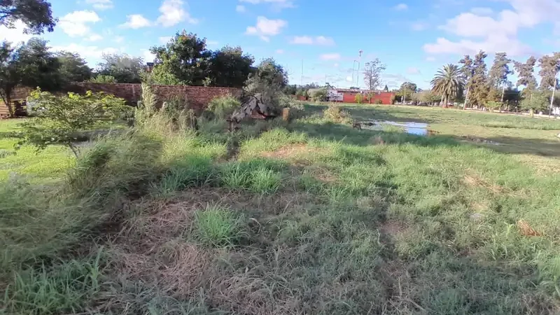 El Poder Judicial del Chaco lanza subastas electrónicas de inmuebles: cómo participar de los remates en Resistencia