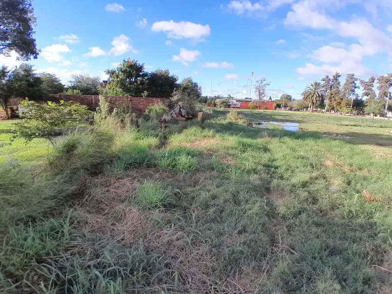 El Poder Judicial del Chaco lanza subastas electrónicas de inmuebles: cómo participar de los remates en Resistencia