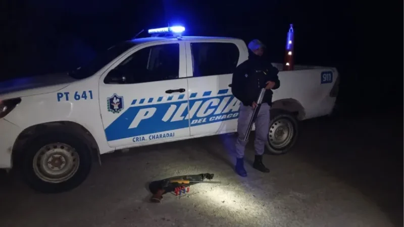 Golpe a la caza ilegal en Charadai: detienen a dos cazadores furtivos con armas y municiones sobre la Ruta 66